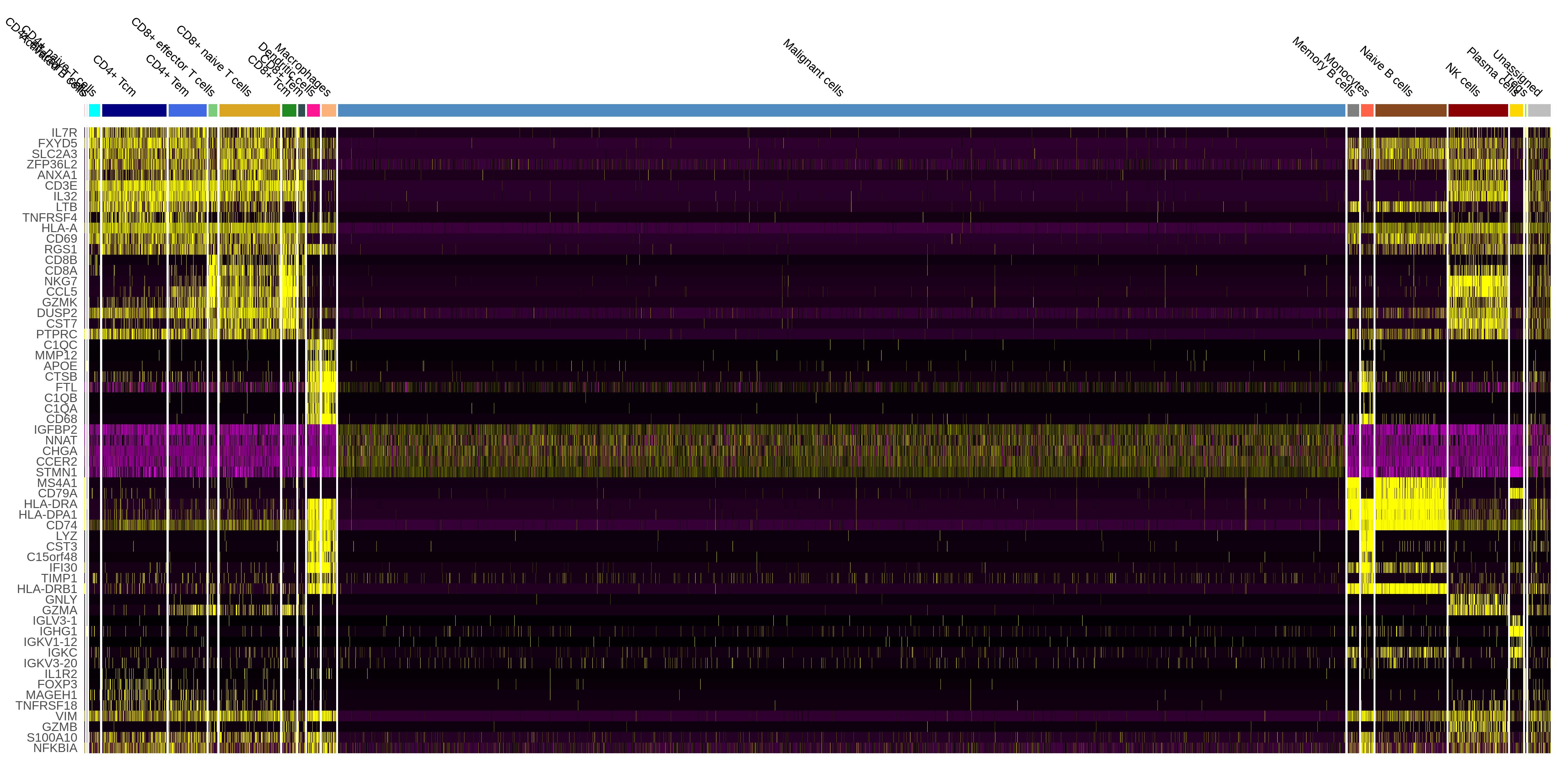Project Analysis - Cancer Single-cell Expression Map - CNCB-NGDC