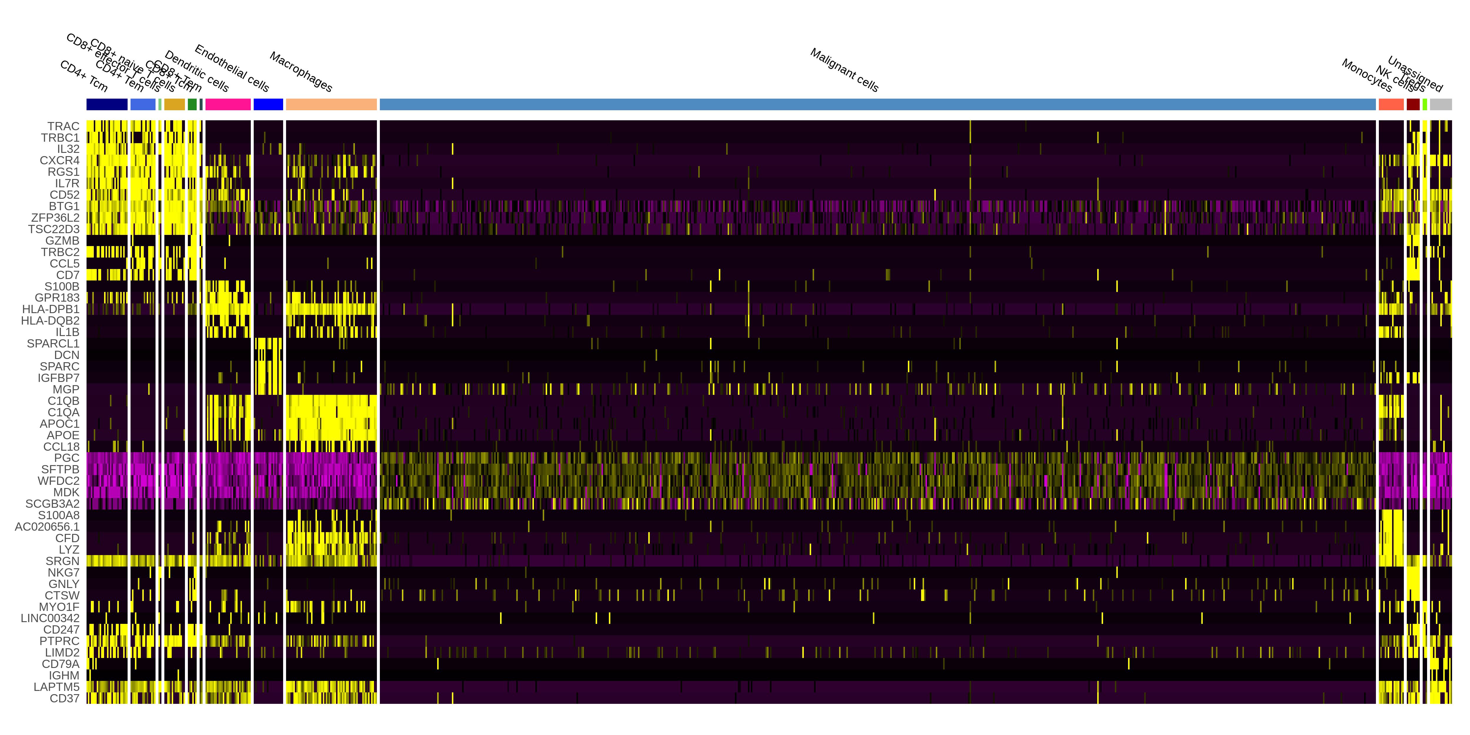 Project Analysis - Cancer Single-cell Expression Map - CNCB-NGDC
