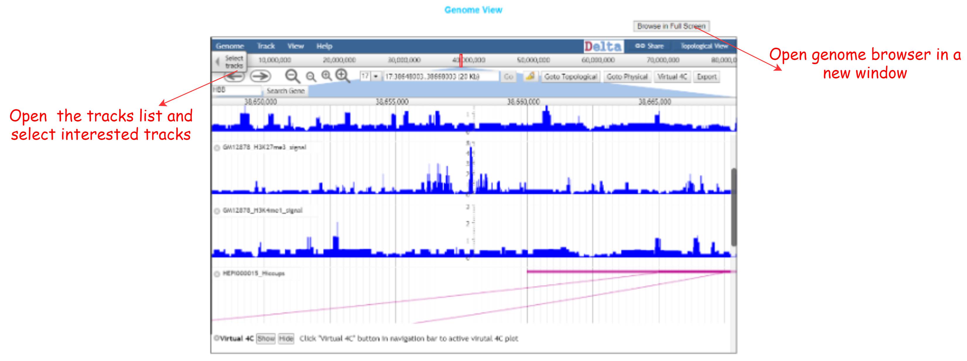 example of genome browser