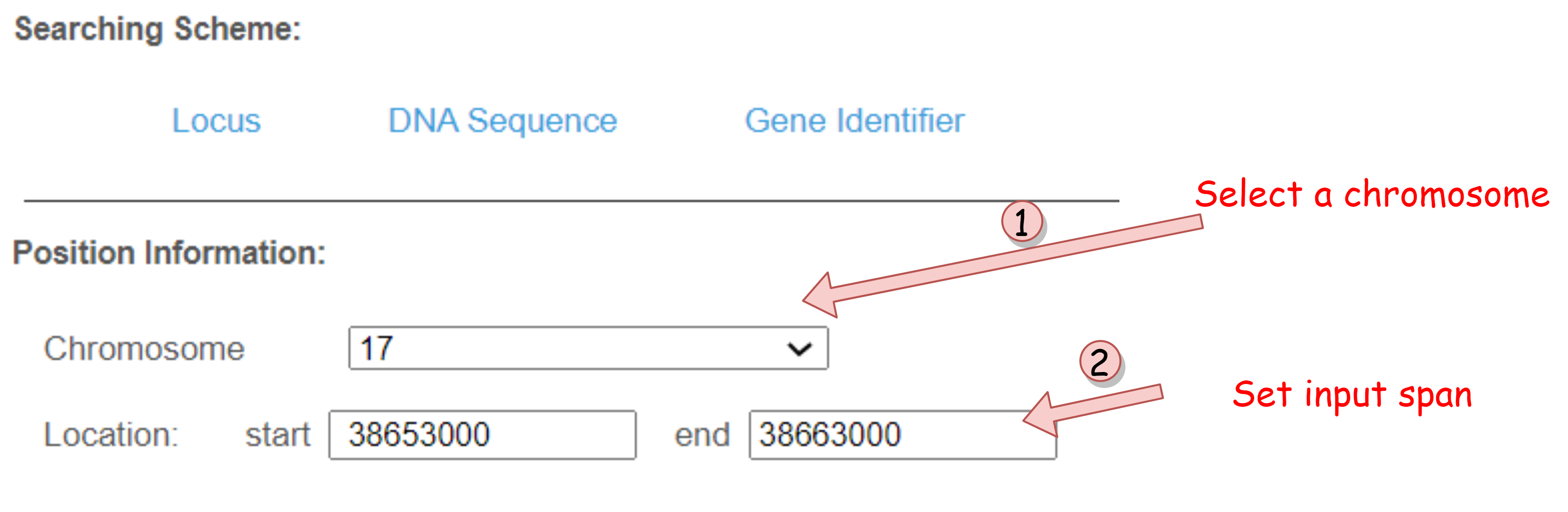 Hi-C Data Based Enhancer-Promoter Interaction Predictor