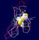 6 ICK mitif peptides