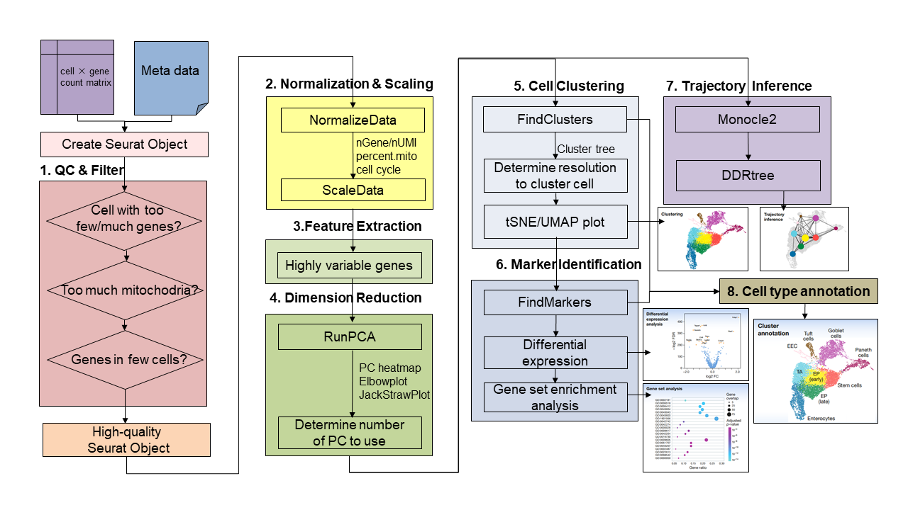 Documentation Gene Expression Nebulas