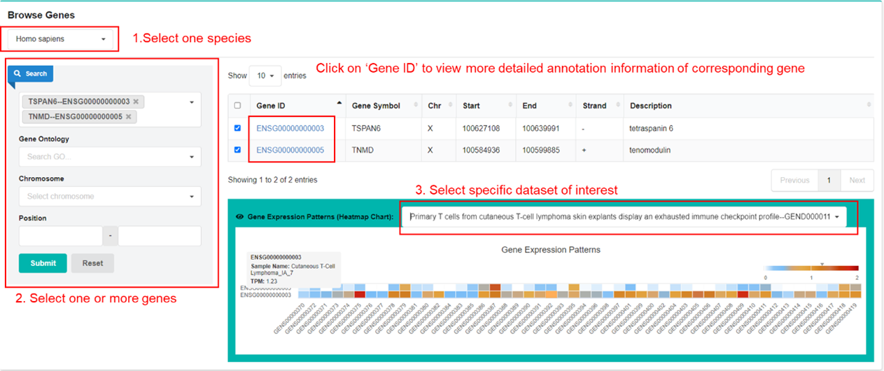 Documentation Gene Expression Nebulas