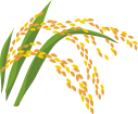 Rice Expression Database