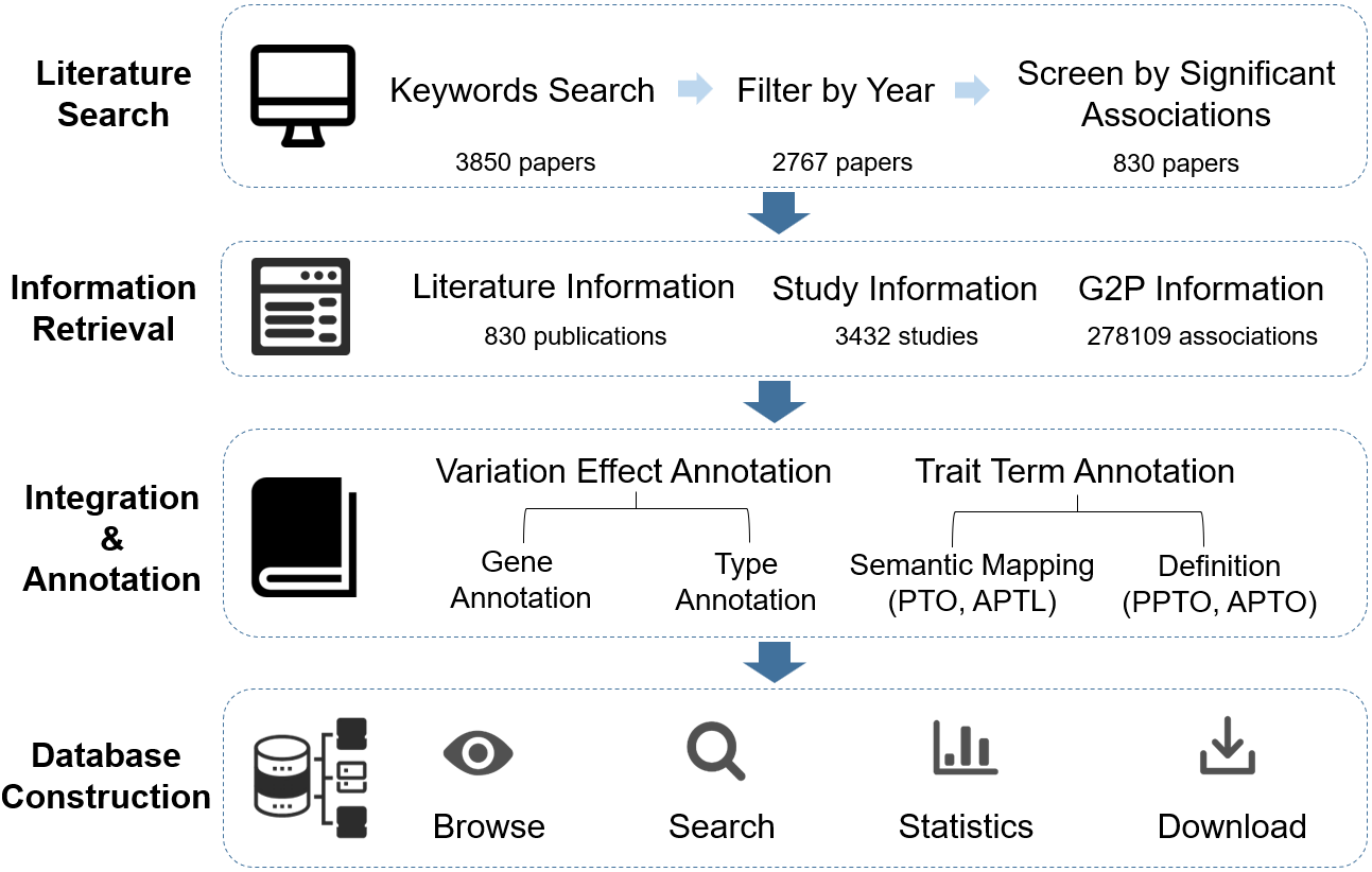 Curation Process