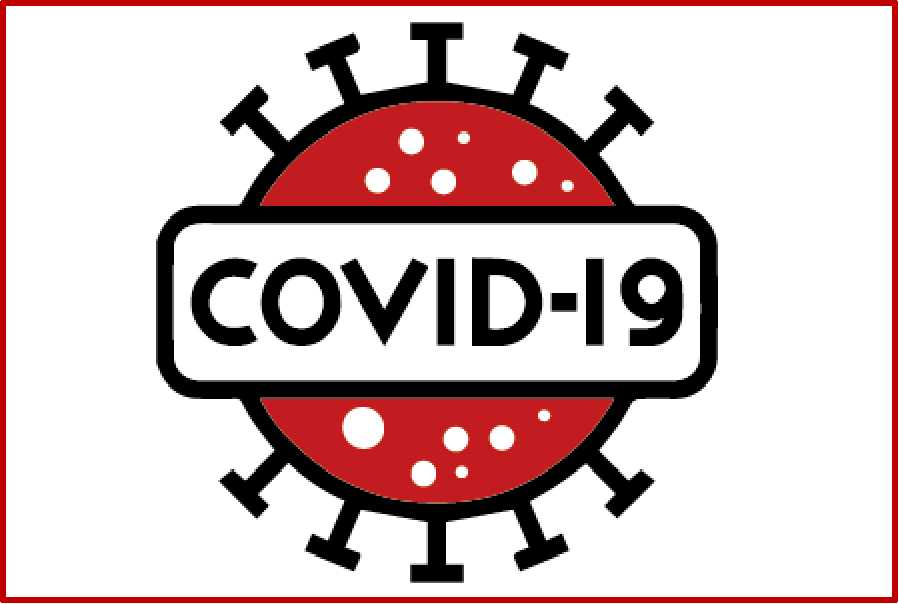Homo sapiens / COVID-19