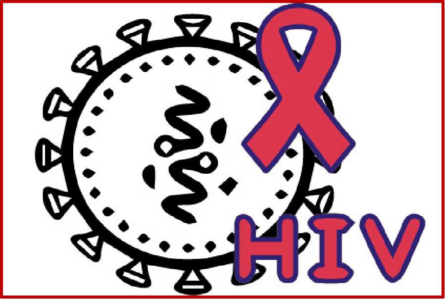 Homo sapiens / HIV