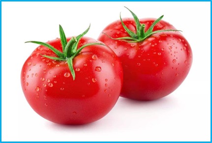 Solanum lycopersicum