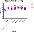 Stably expressed lncRNAs suitable for studies comparing different glioma entities.jpg