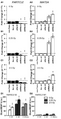 PARTICLE Knockdown through Stable Lentiviral Transfection Causes MAT2A Overexpression and Promoter Over-activity.png
