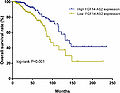 Kaplan–Meier analysis for the overall survival of breast cancer patients with different expression of FGF14-AS2 in TCGA cohort.jpg