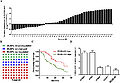 LncRNA FOXD2-AS was highly expressed in NSCLC tumors.jpg