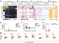 Expression and genomic alteration of LINP1 in breast cancer.jpg