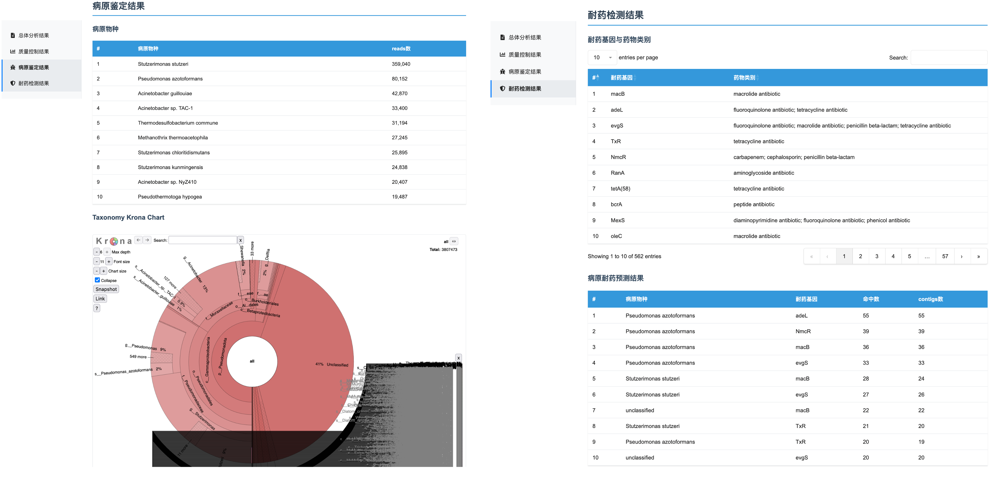 Report Example 2