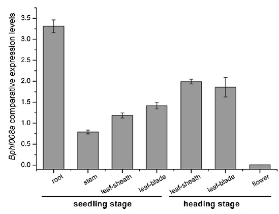 Fig.6w.png