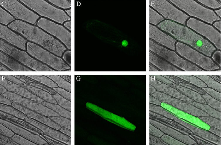 File:654321.jpg