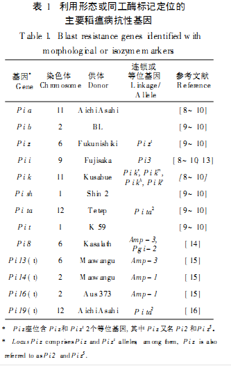 Blast resistance genes.png