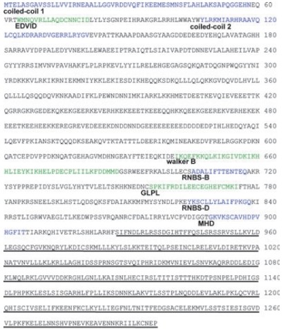 File:Pb1 figure 6.jpg