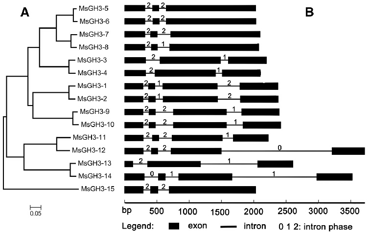 Figure 2 dyf.jpg