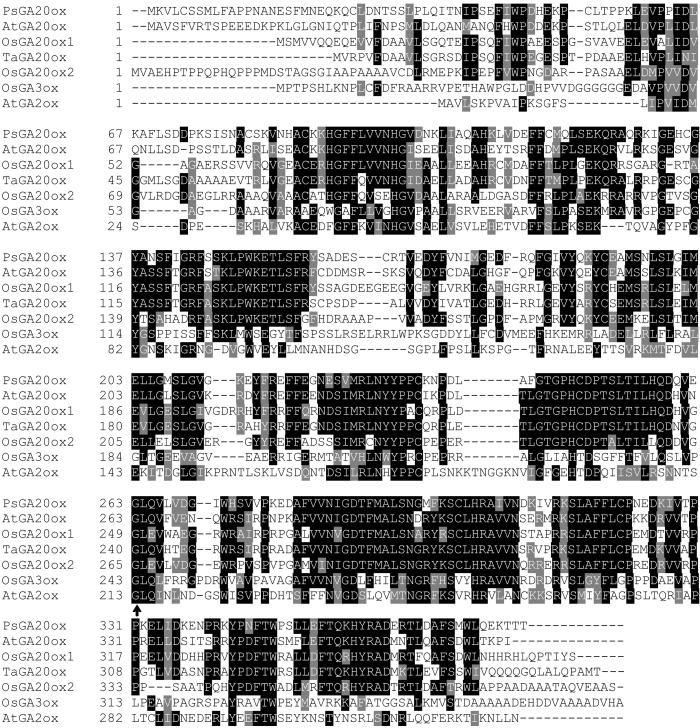 Figure--2.jpg