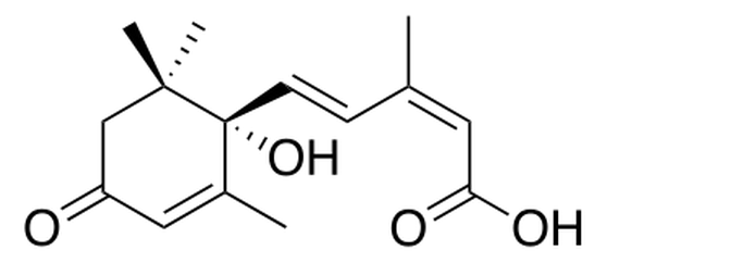 File:Abscisic acid.png