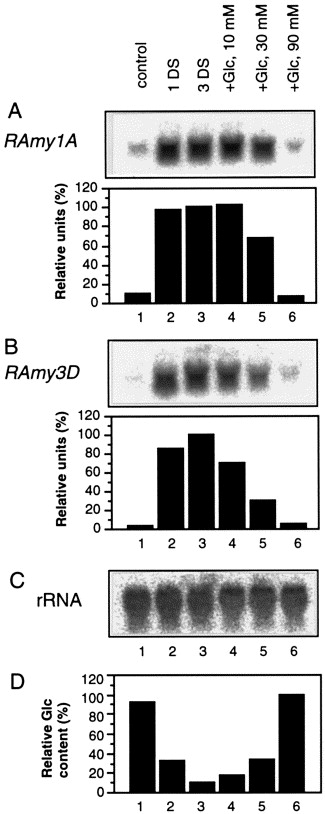 1-s2.0-S0014579398000672-gr1.jpg