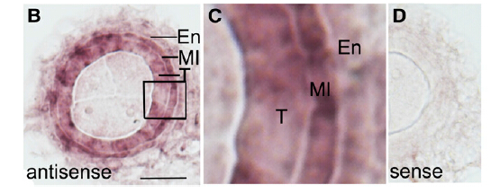 Tip3.jpg