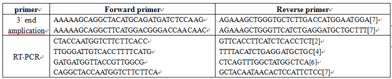 File:Fig.7.png