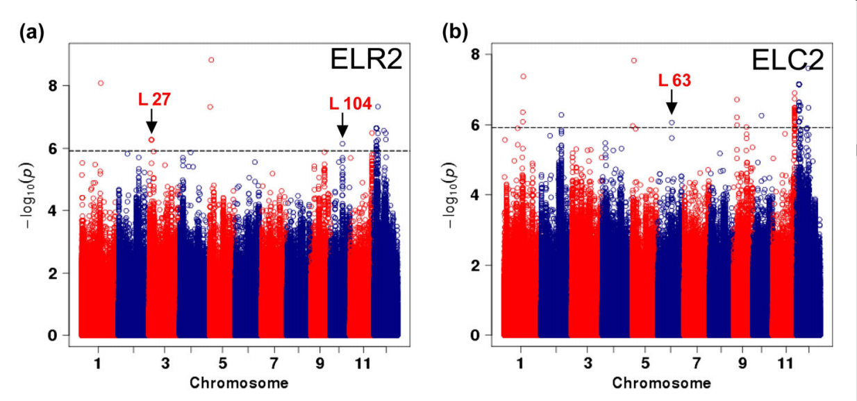 IC4R011-GWAS-2016-26381647-f1a.png