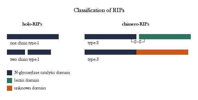 File:RIPs Classification.jpg