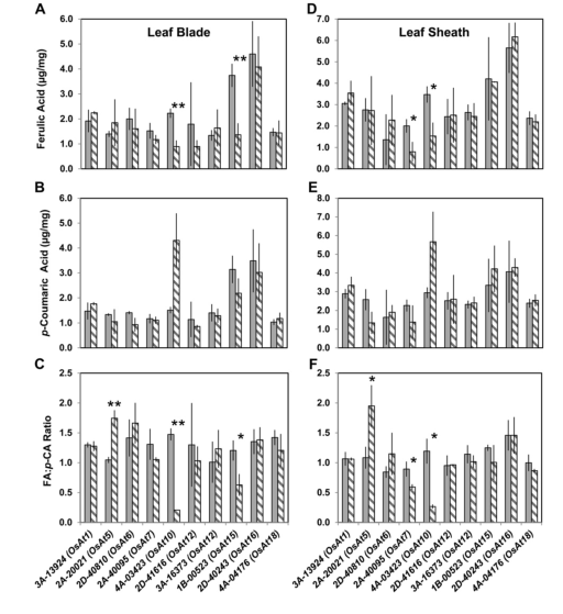Figure 2xxy.png