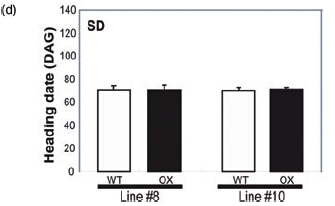 File:Fig2d.jpg
