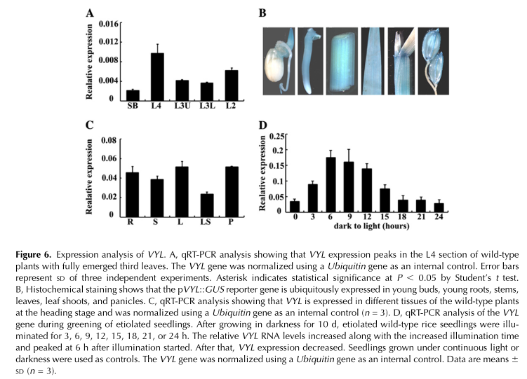 Figure 6 .png