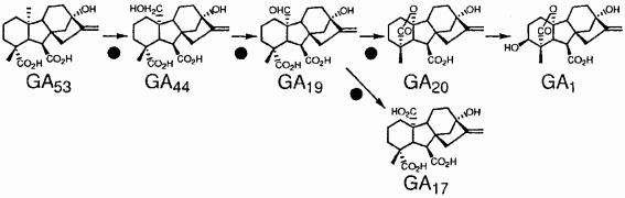 Figure--5.jpg
