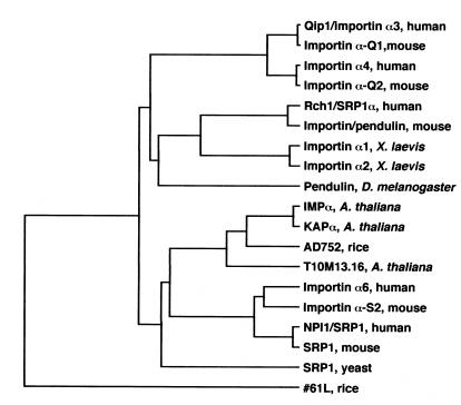 Fig 7.jpg