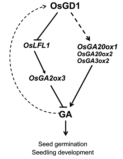 File:Shijc-Fig3.jpg
