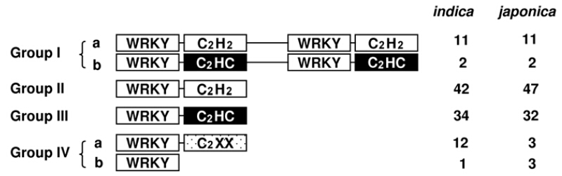Pic1.jpg