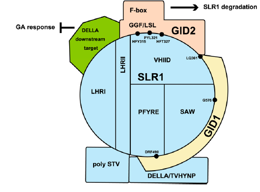 File:10.png