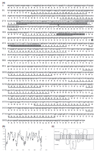 File:SP1图5.png