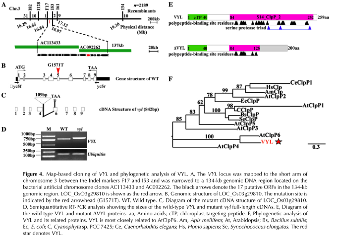 Figure 4 .png