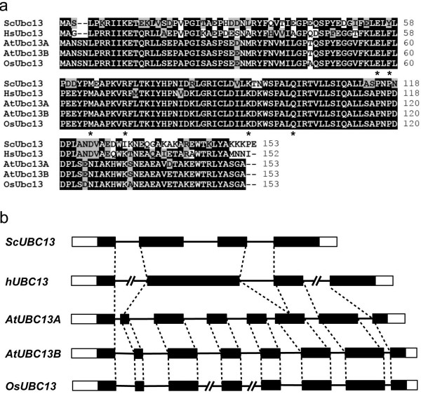 File:12284 2012 18 Fig1 HTML.jpg