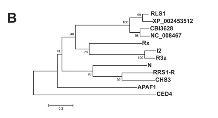 File:5B.png