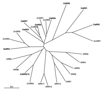 File:FIG2.png