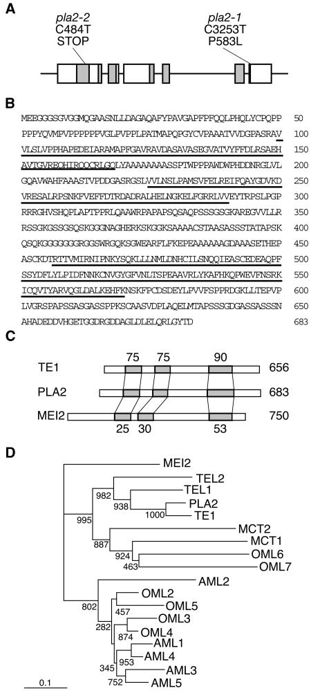 Figure5.0.jpg
