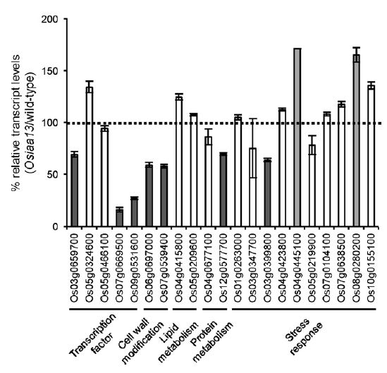 Figure 3.JPG