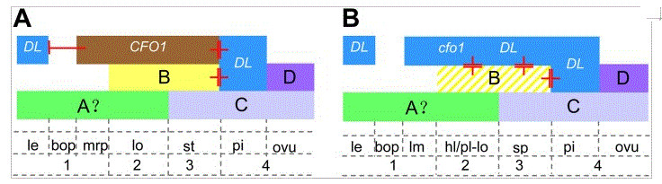 Fig11.jpg