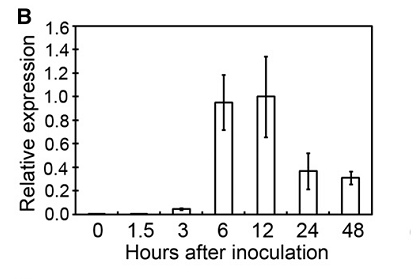 File:Xa10 figure 2.png