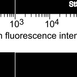 File:SUT 4.jpg