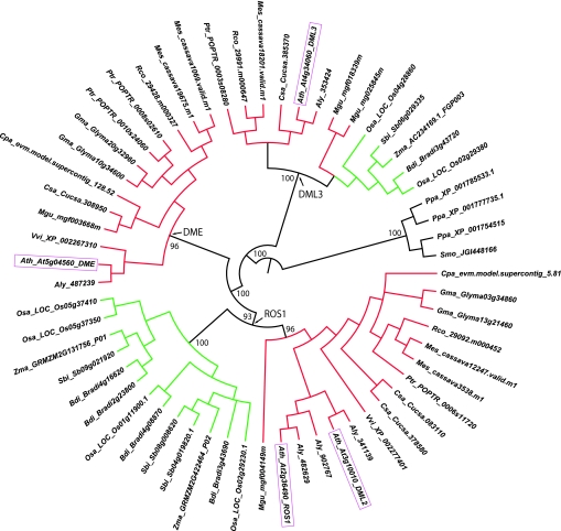 Pnas.1009695107fig05.jpg