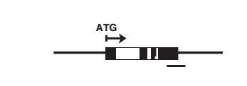 File:Cold-responsive.png